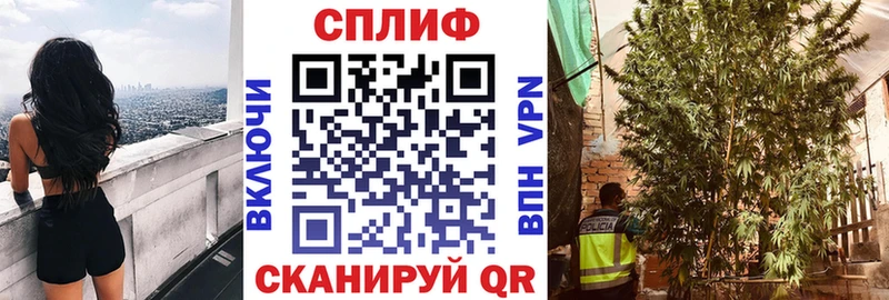 закладка KRAKEN рабочий сайт МАРИХУАНА SATIVA & INDICA Ленинск